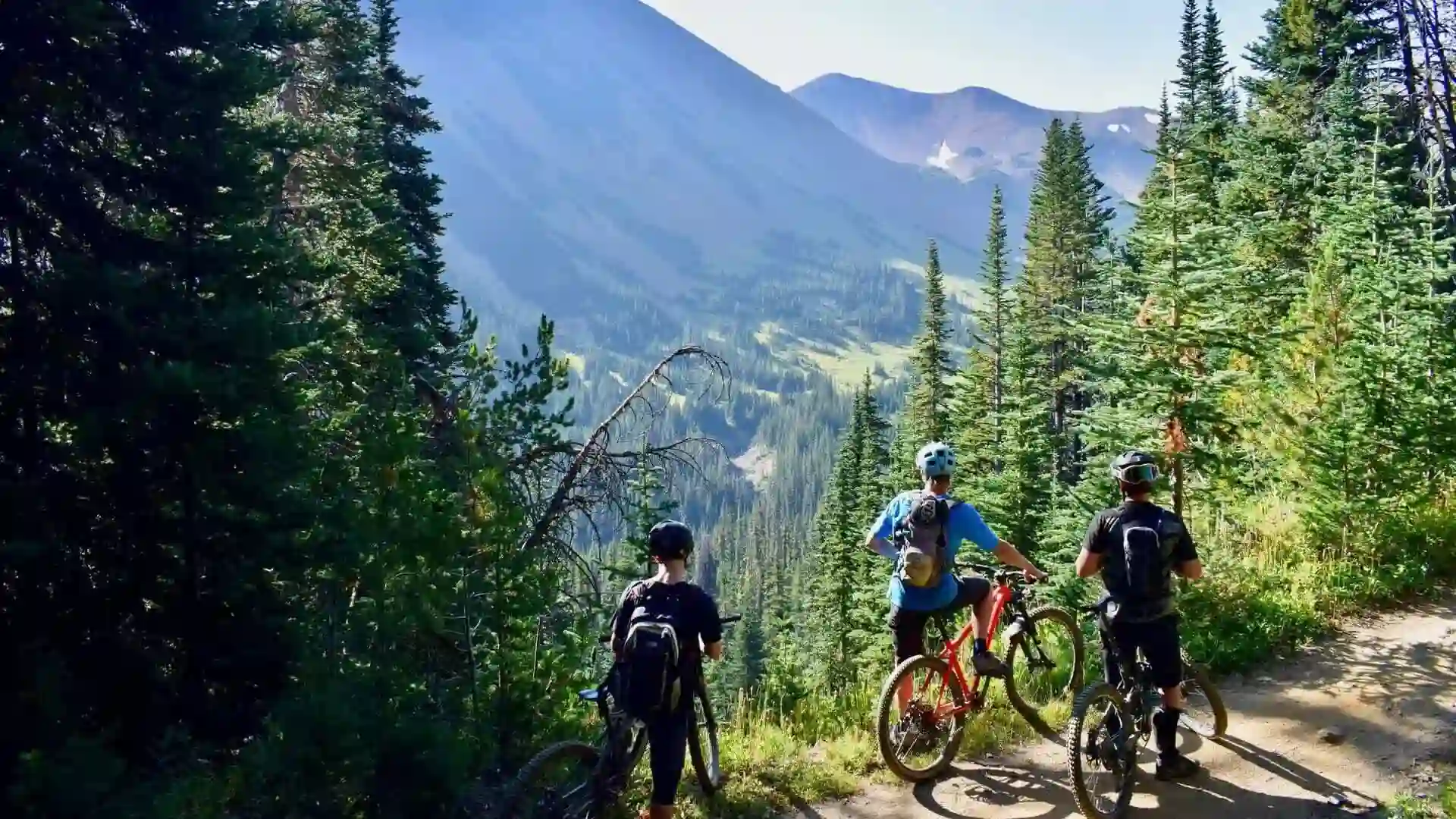 Mountainbiker in einem Bergwald – Symbolbild für Nachhaltigkeit in der Lieferkette des Reifenherstellers Schwalbe