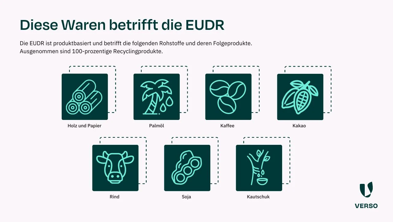 Infografik: Diese Waren betrifft die EUDR