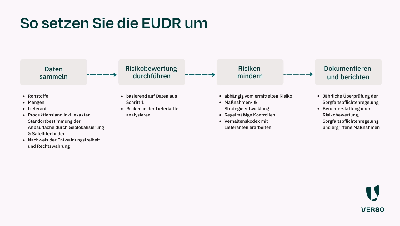 Infografik: So wird die EUDR umgesetzt