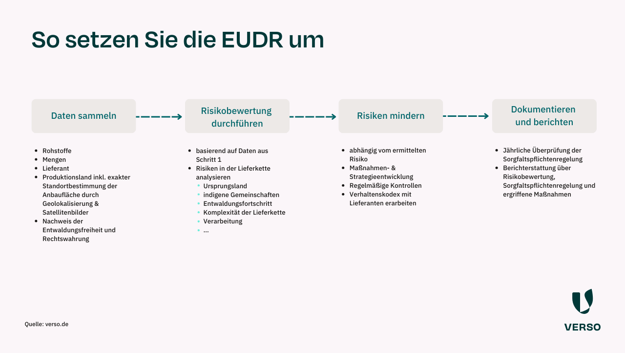 So setzen Sie die EUDR um: 4 Schritte Daten Sammeln, Risikobewertung durchführen, Risiken mindern, Dokumentieren und berichten.