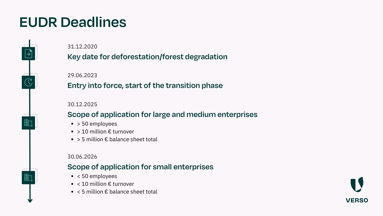 Timeline of the EUDR