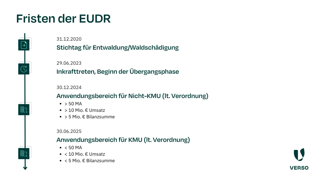 Infografik: Fristen der EUDR