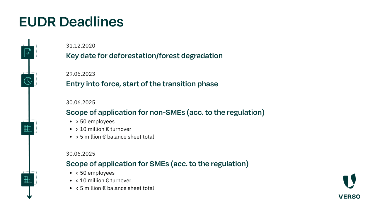 Timeline of the EUDR deadlines