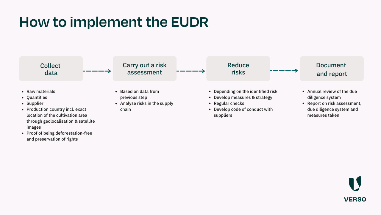 Steps to implement the EUDR in your company