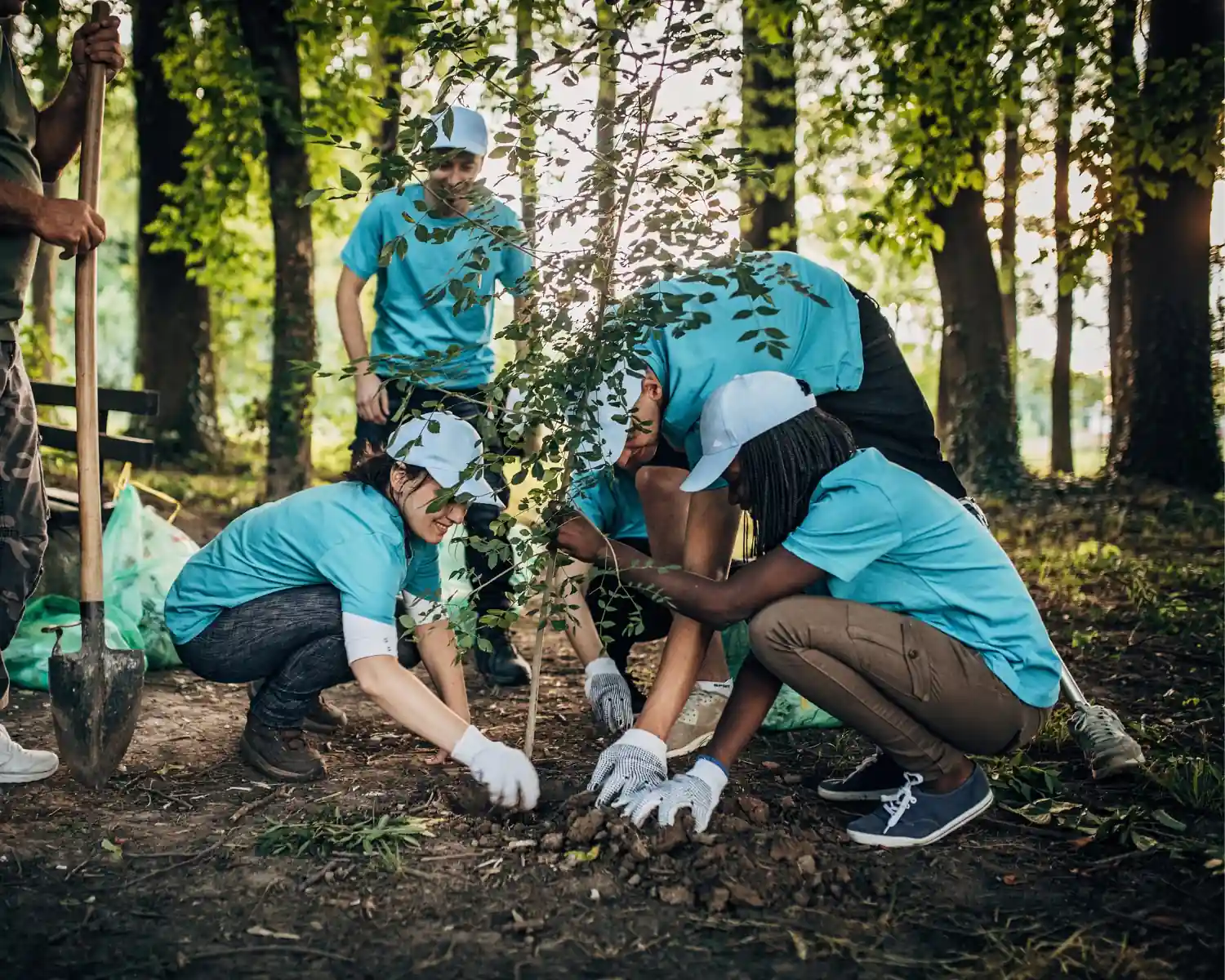 So finden Sie die richtigen Projekte zur CO2-Kompensation – ohne Greenwashing