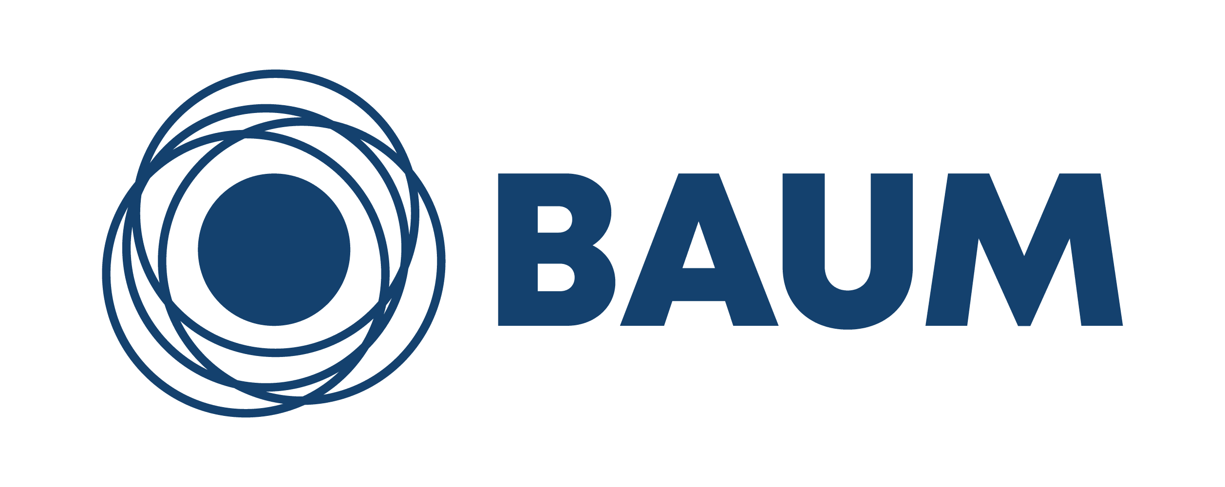 BAUM Logo 2024