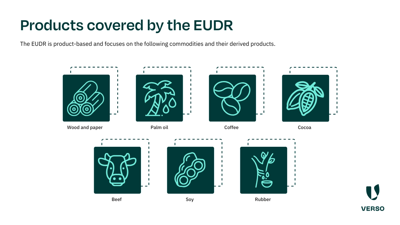EUDR Explained: Key Requirements and Compliance Guide