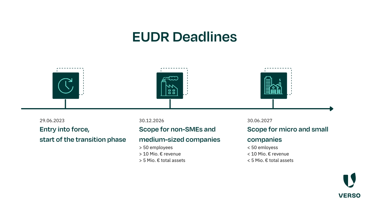 EUDR Explained: Key Requirements and Compliance Guide