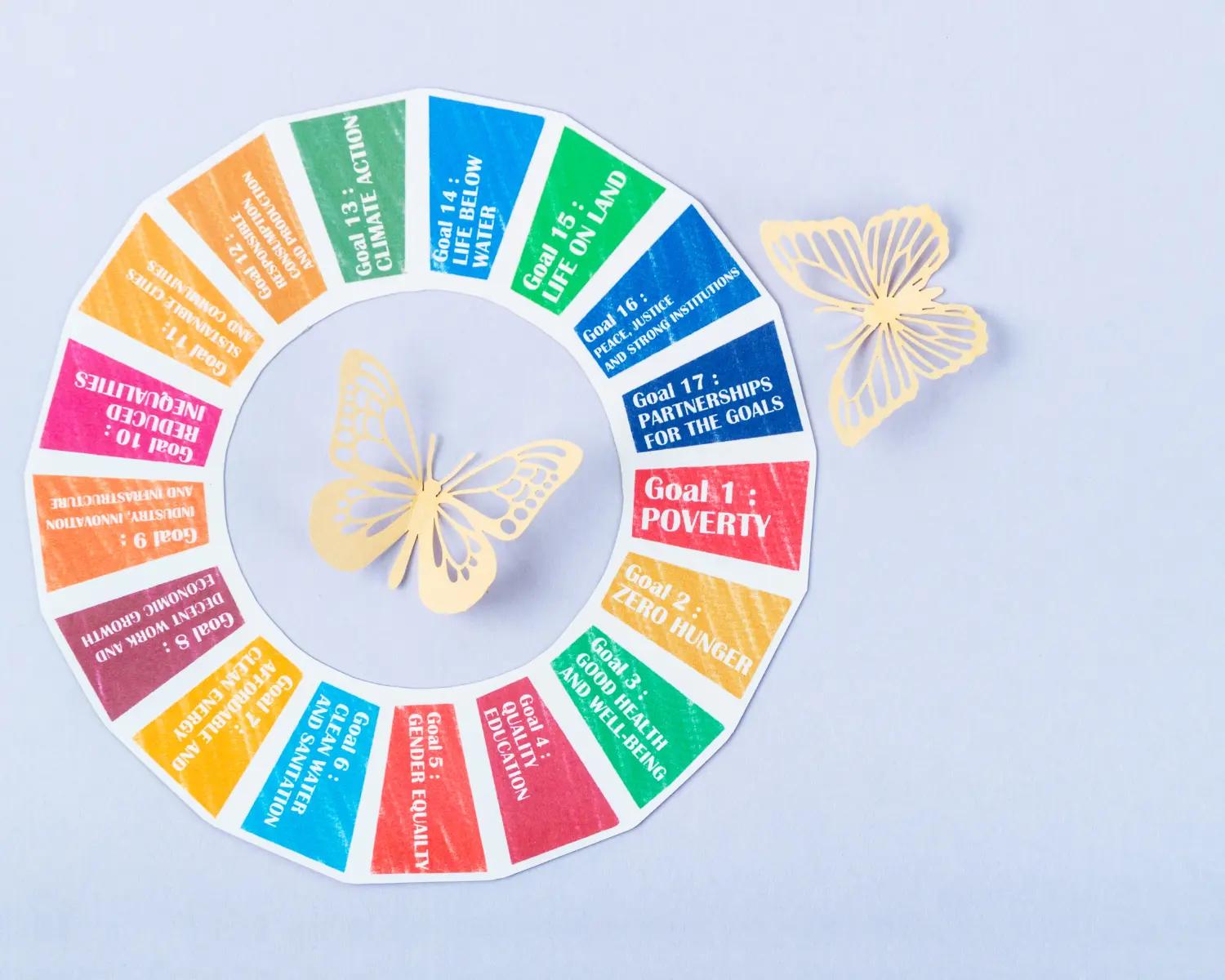 Sustainable Development Goals (SDGs)