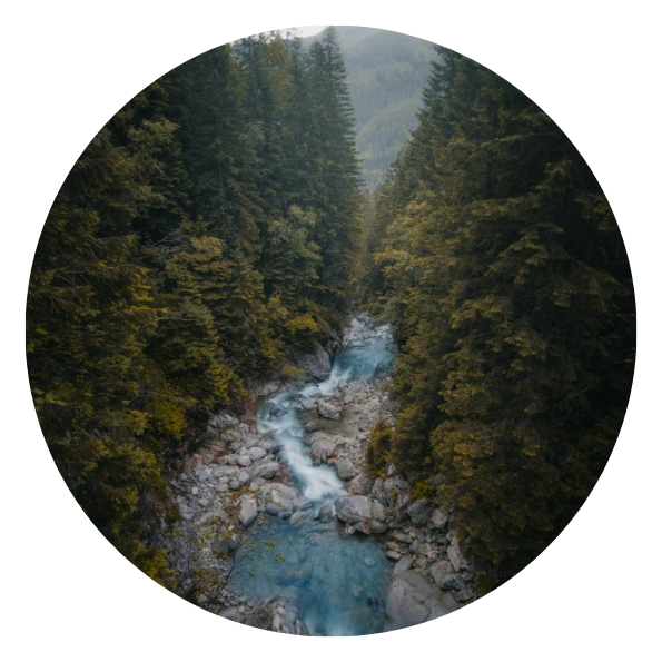 Foto eines Flusses in einem Wald. Um diesen zu erhalten, müssen u.a. Unternehmen ihre CO2-Emissionen reduzieren Das können sie mit der Corporate Carbon Footprint (CCF) Software von VERSO.